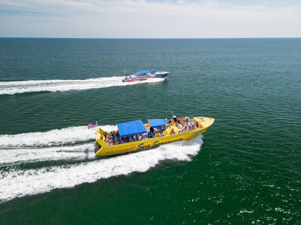 myrtle beach dolphin boat tours