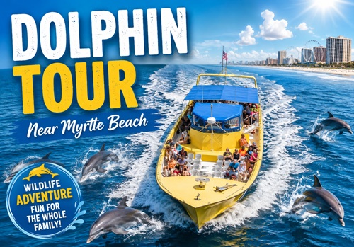 Dolphin Tour Near Myrtle Beach