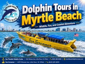 Dolphin Tours In Myrtle Beach