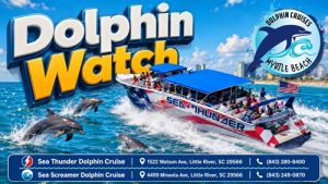 Dolphin Cruises In Myrtle Beach