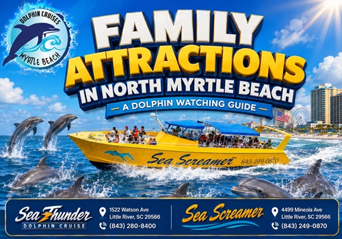 Dolphin Watching North Myrtle Beach