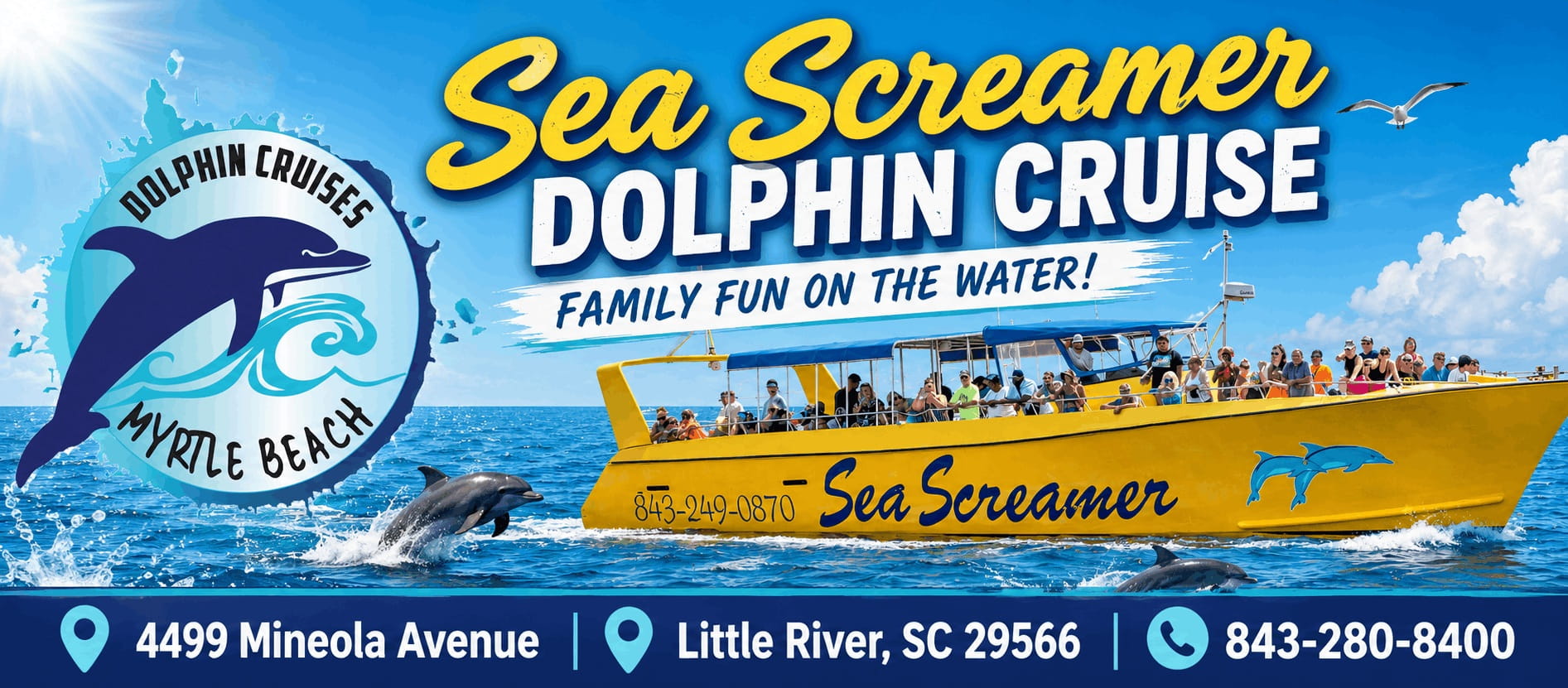 Sea Screamer Dolphin Cruise min