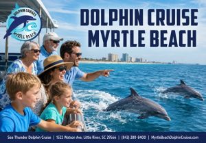 dolphin cruise Myrtle Beach - Myrtle Beach Dolphin Cruises dolphin cruise Myrtle Beach