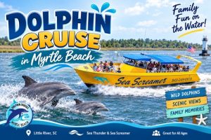 Dolphin Cruise