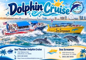 Dolphin Cruise