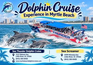 Dolphin Cruise Experience in Myrtle Beach