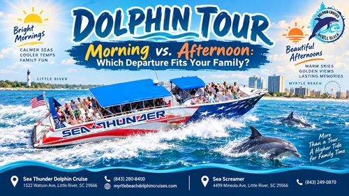 Dolphin Tour