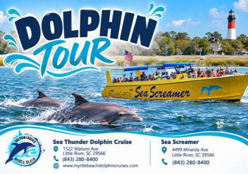 Dolphin Tour - Myrtle Beach Dolphin Cruises Dolphin Tour