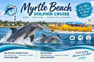 Myrtle Beach Dolphin Cruise