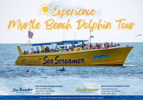 Myrtle Beach Dolphin Tour - Myrtle Beach Dolphin Cruises Myrtle Beach Dolphin Tour