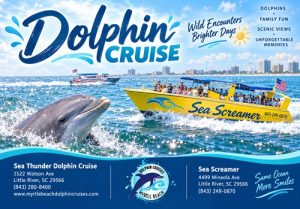 dolphin cruise
