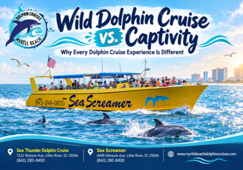 Wild Dolphin Cruise - Myrtle Beach Dolphin Cruises Wild Dolphin Cruise